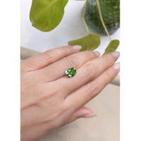 2.59 Ct. Tourmaline from Mozambique Life Style