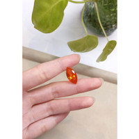 5.52 Ct. Fire Opal from Mexico Life Style