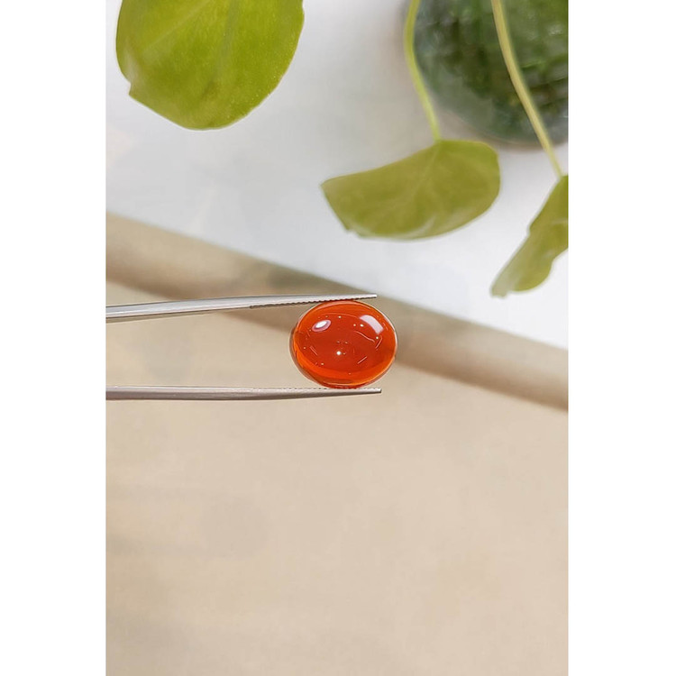 9.06 Ct. Cabochon Fire Opal from Mexico