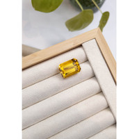 15.52 Ct. Beryl from Madagascar Life Style