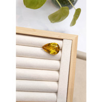 22.49 Ct. Beryl from Madagascar Life Style