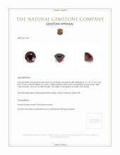 2.40 Ct. Garnet from Ceylon (Sri Lanka) Appraisal