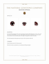 2.40 Ct. Garnet from Ceylon (Sri Lanka) Appraisal