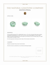 4.92 Ct. Paraiba Tourmaline from Africa Appraisal