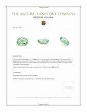 4.58 Ct. Green Tourmaline from Mozambique Appraisal