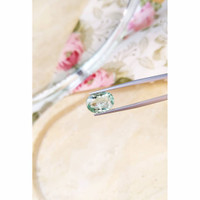 4.58 Ct. Tourmaline from Mozambique Life Style