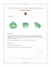 9.51 Ct. Green Tourmaline from Mozambique Appraisal
