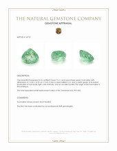 9.51 Ct. Green Tourmaline from Mozambique Appraisal