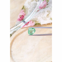 9.51 Ct. Tourmaline from Mozambique Life Style