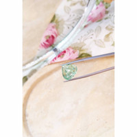 9.51 Ct. Tourmaline from Mozambique Life Style