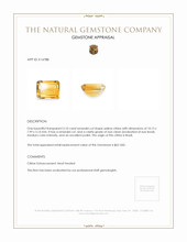 3.10 Ct. Citrine from Brazil Appraisal