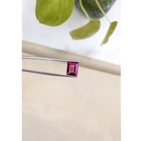 3.64 Ct. Rhodolite Garnet from Madagascar Life Style