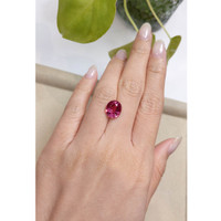 5.30 Ct. Rhodolite Garnet from Madagascar Life Style
