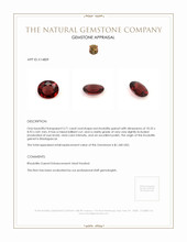 3.71 Ct. Rhodolite Garnet from Madagascar Appraisal