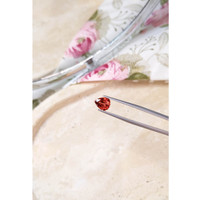 2.40 Ct. Spessartite Garnet from Madagascar Life Style