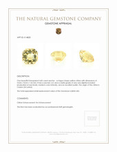 4.85 Ct. Citrine from Ceylon (Sri Lanka) Appraisal