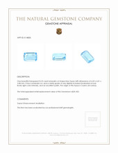 0.53 Ct. Topaz from Ceylon (Sri Lanka) Appraisal