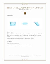 0.62 Ct. Topaz from Ceylon (Sri Lanka) Appraisal