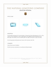 0.62 Ct. Topaz from Ceylon (Sri Lanka) Appraisal