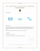 0.74 Ct. Topaz from Ceylon (Sri Lanka) Appraisal