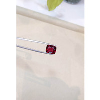 9.02 Ct. Garnet from Ceylon (Sri Lanka) Life Style