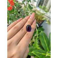 9.73 Ct. Amethyst from Brazil Life Style