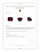 6.64 Ct. Garnet from Ceylon (Sri Lanka) Appraisal
