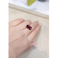 6.64 Ct. Garnet from Ceylon (Sri Lanka) Life Style