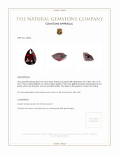 6.54 Ct. Garnet from Ceylon (Sri Lanka) Appraisal