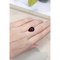 6.54 Ct. Garnet from Ceylon (Sri Lanka) Life Style