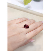 6.54 Ct. Garnet from Ceylon (Sri Lanka) Life Style