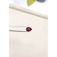 5.10 Ct. Garnet from Ceylon (Sri Lanka) Life Style