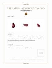 0.94 Ct. Garnet from Ceylon (Sri Lanka) Appraisal