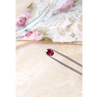 1.90 Ct. Garnet from Ceylon (Sri Lanka) Life Style