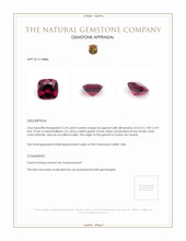 2.54 Ct. Garnet from Ceylon (Sri Lanka) Appraisal