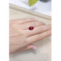 3.00 Ct. Garnet from Ceylon (Sri Lanka) Life Style