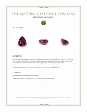 2.85 Ct. Red Garnet from Ceylon (Sri Lanka) Appraisal