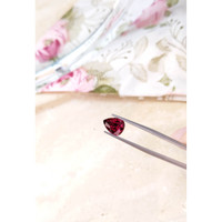 2.85 Ct. Garnet from Ceylon (Sri Lanka) Life Style