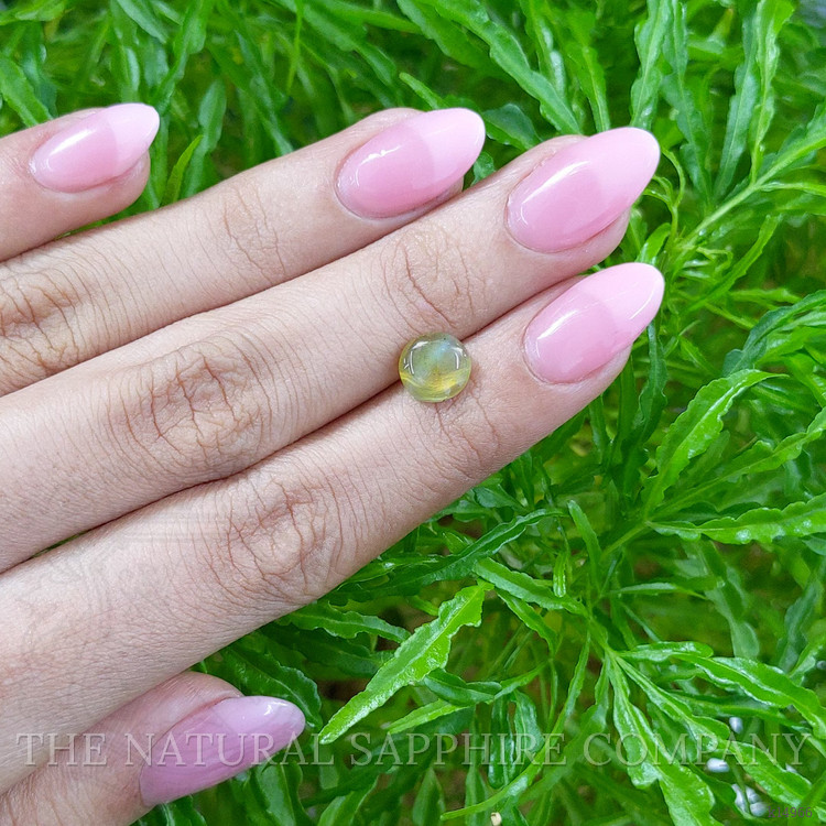 2.00 Ct. Cabochon Chrysoberyl from Ceylon (Sri Lanka)