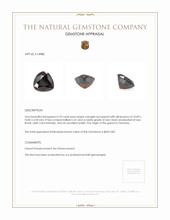 6.93 Ct. Garnet from Tanzania Appraisal