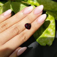 6.93 Ct. Garnet from Tanzania Life Style