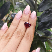 5.14 Ct. Garnet from Tanzania Life Style