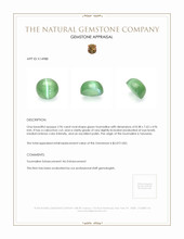 2.96 Ct. Cabochon Tourmaline from Tanzania Appraisal