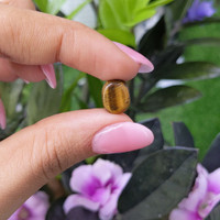 4.90 Ct. Cabochon Tiger's Eye from India Life Style