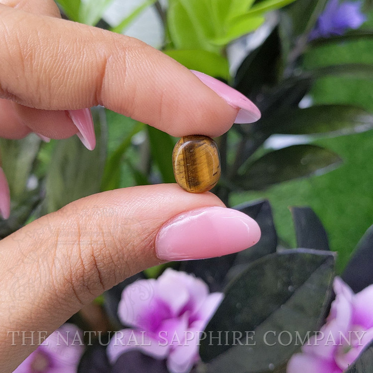 4.90 Ct. Tiger's Eye from India