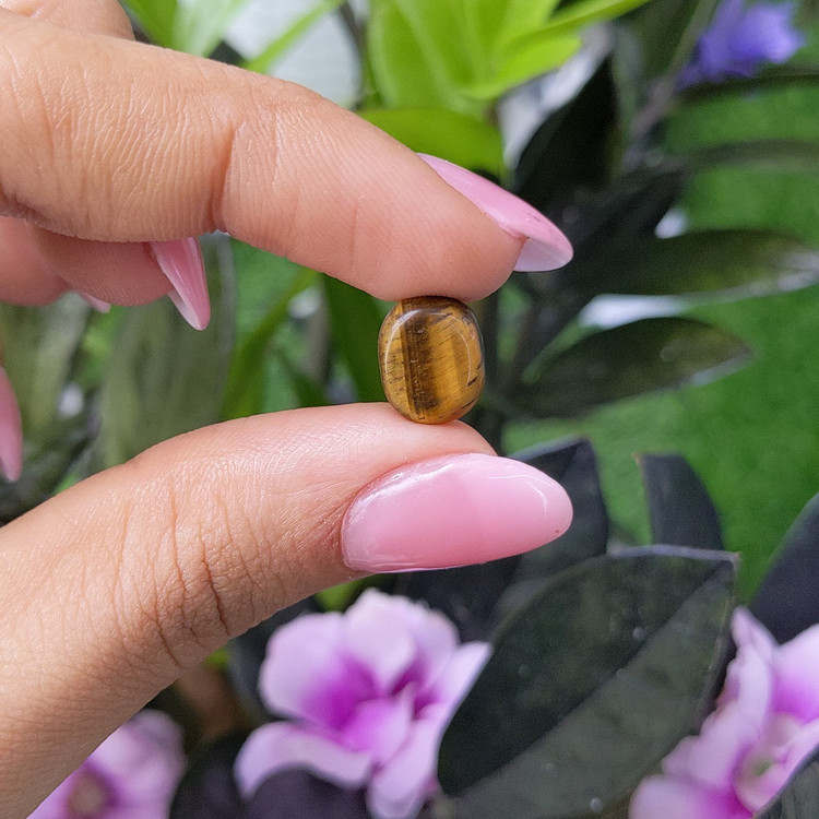 4.90 Ct. Tiger's Eye from India