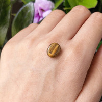 4.90 Ct. Cabochon Tiger's Eye from India Life Style