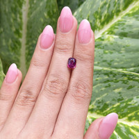 1.50 Ct. Spinel from Ceylon (Sri Lanka) Life Style