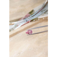 2.62 Ct. Tourmaline from Mozambique Life Style