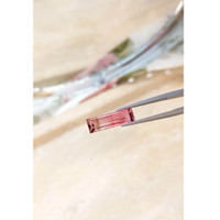 4.45 Ct. Tourmaline from Mozambique Life Style